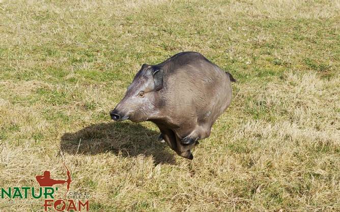 Bilde av NF Running Boar